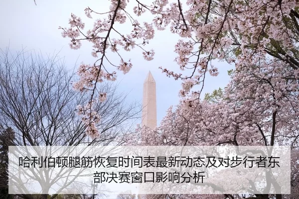 哈利伯顿腿筋恢复时间表最新动态及对步行者东部决赛窗口影响分析