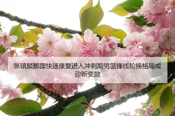 张镇麟脚踝快速康复进入冲刺期男篮锋线轮换格局或迎新变数