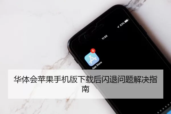 华体会苹果手机版下载后闪退问题解决指南