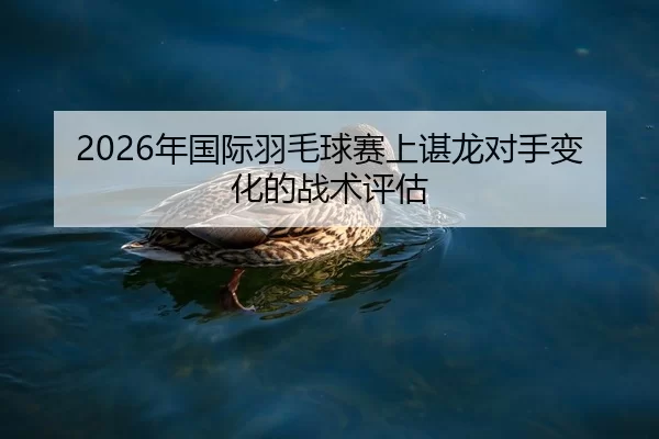 2026年国际羽毛球赛上谌龙对手变化的战术评估