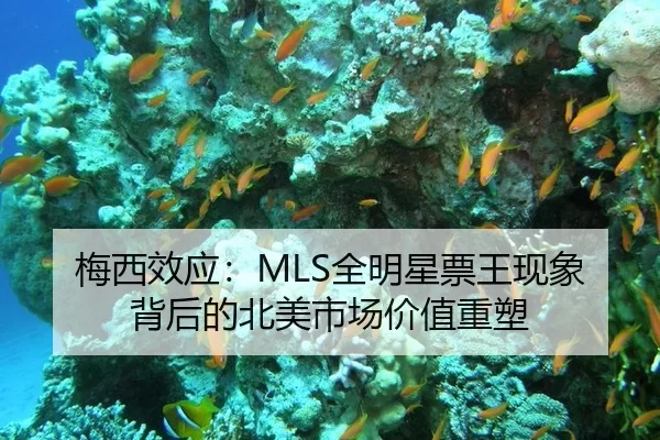 mei-xi-xiao-ying-quan-ming-xing-piao-wang-xian-xiang-bei-hou-de-bei-mei-shi-chang-jia-zhi-zhong-su-2-911.jpg
