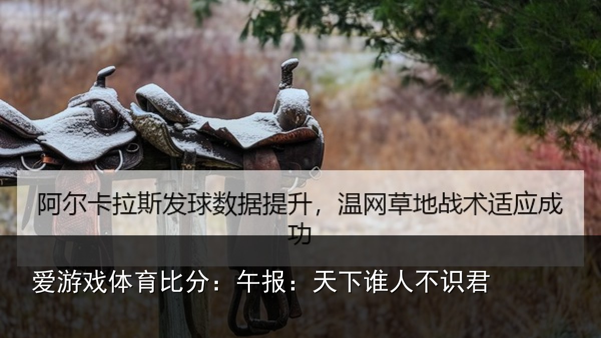 爱游戏体育比分：午报：天下谁人不识君