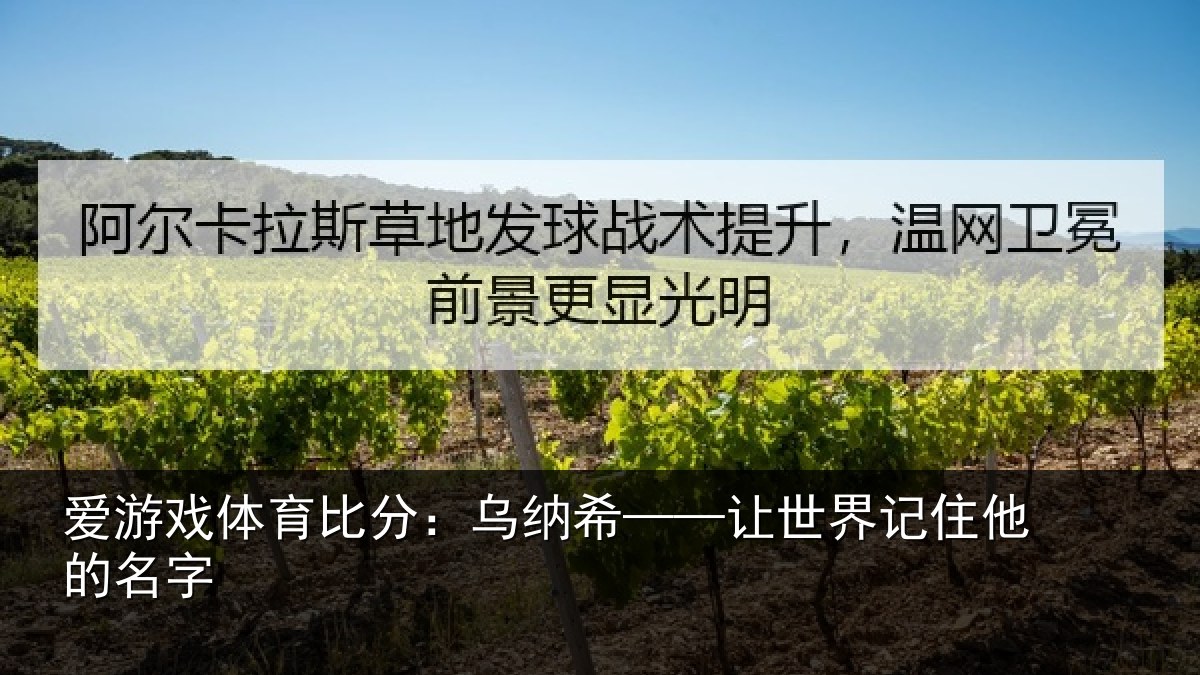 爱游戏体育比分：乌纳希——让世界记住他的名字