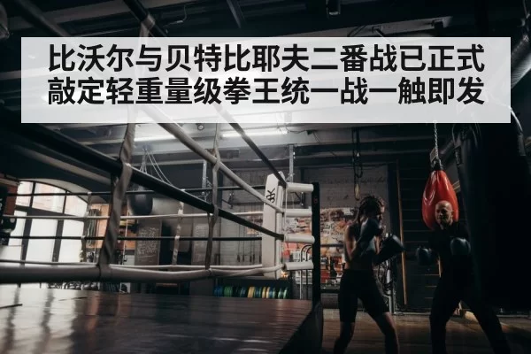 boxer training
