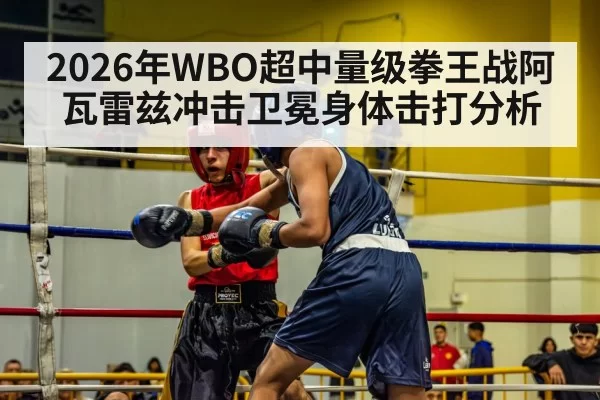 2026年WBO超中量级拳王战阿瓦雷兹冲击卫冕身体击打分析