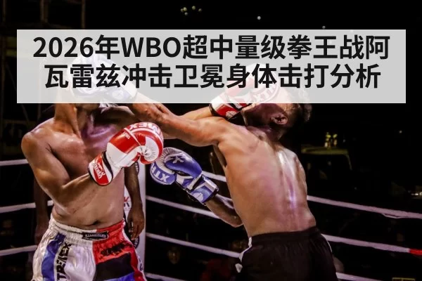 boxer body punch
